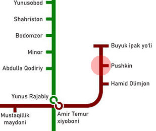 Pushkin station map